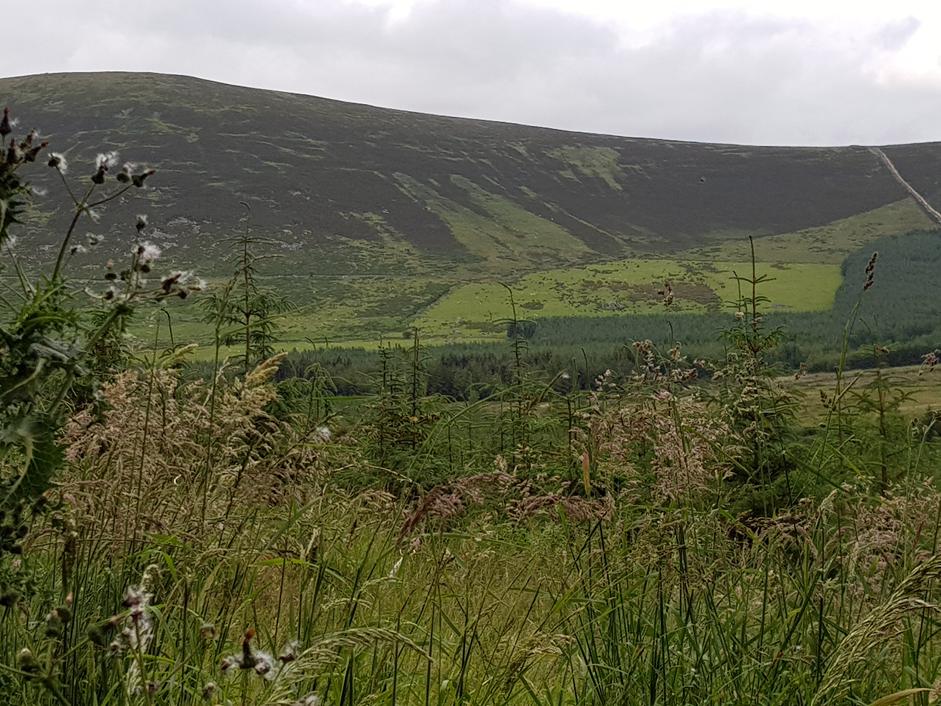 Keadeen Mountain, next to Boleycarrigeen Stone Circle, Wicklow