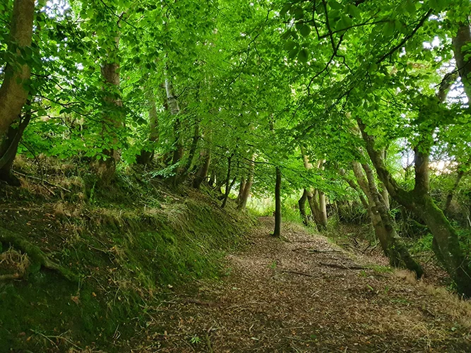 The Rath of Queen Medb Tara